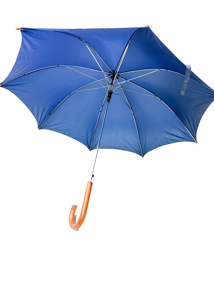 (2 Pack) Medium Umbrella with Auto Open & Hard Shell Case