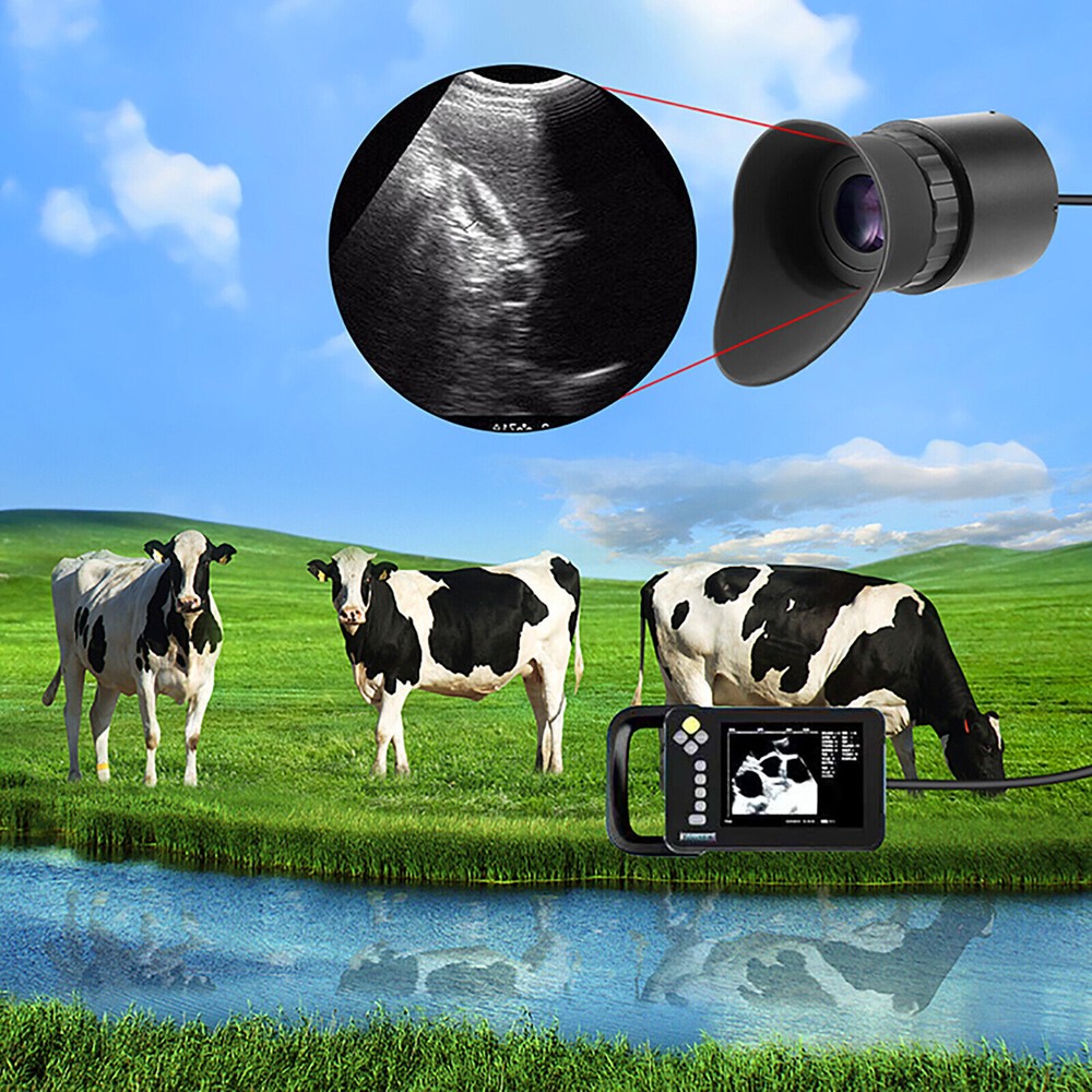 V760C-3 Wearable Head Mounted HD Screen Display 80" Effect FPV Security Monitors