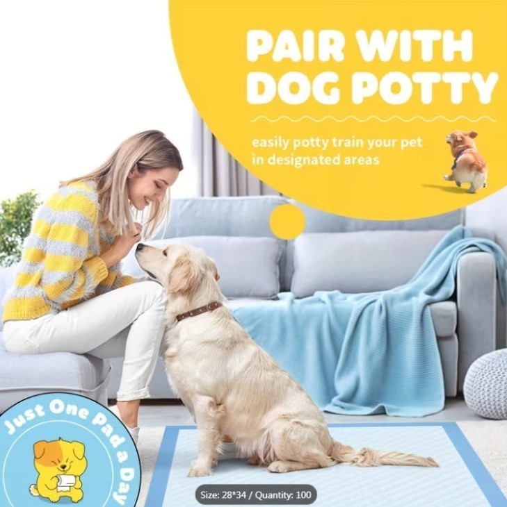 Pet Training Pee Pads - 100pk