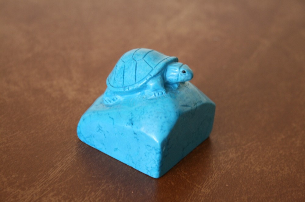 Turtle on a Rock