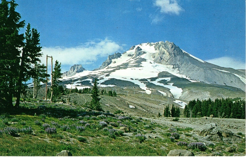 MT. HOOD, OREGON - PC4430