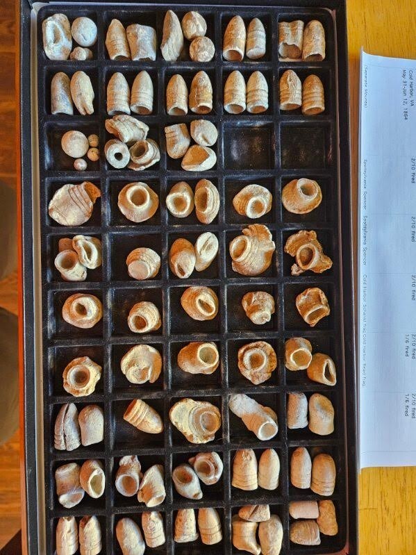 Civil War bullets collection