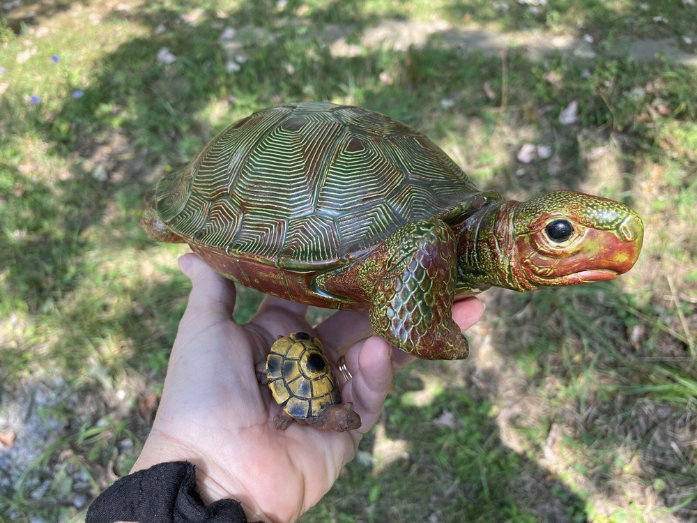 Turtle Lovers Realistic Ceramic Turtle 10.5” H52”