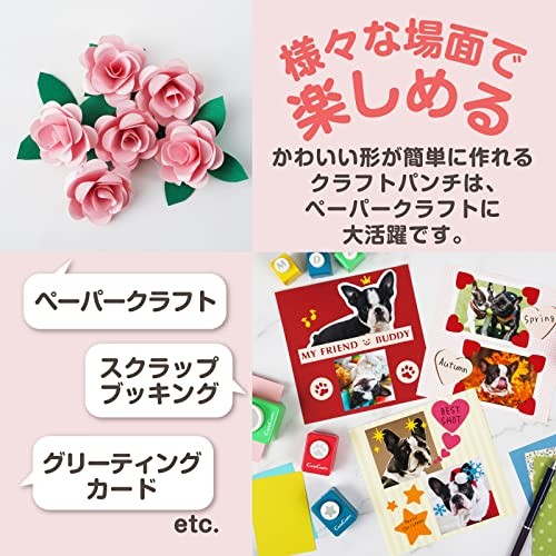 Carl Craft Punch Aid