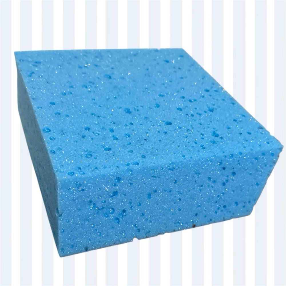 Sponges