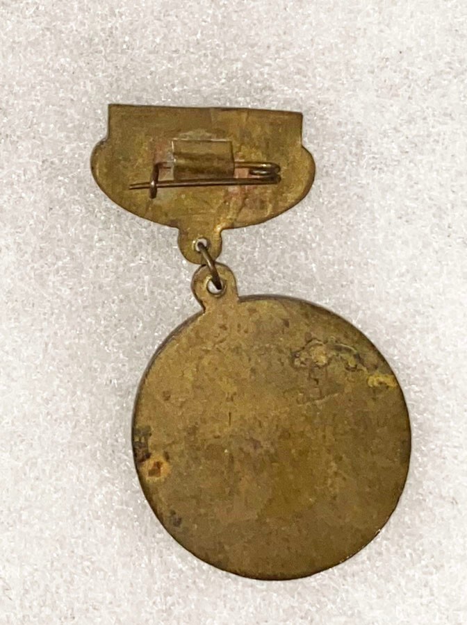 UNit 120 Army Border Guard Medal / Badge