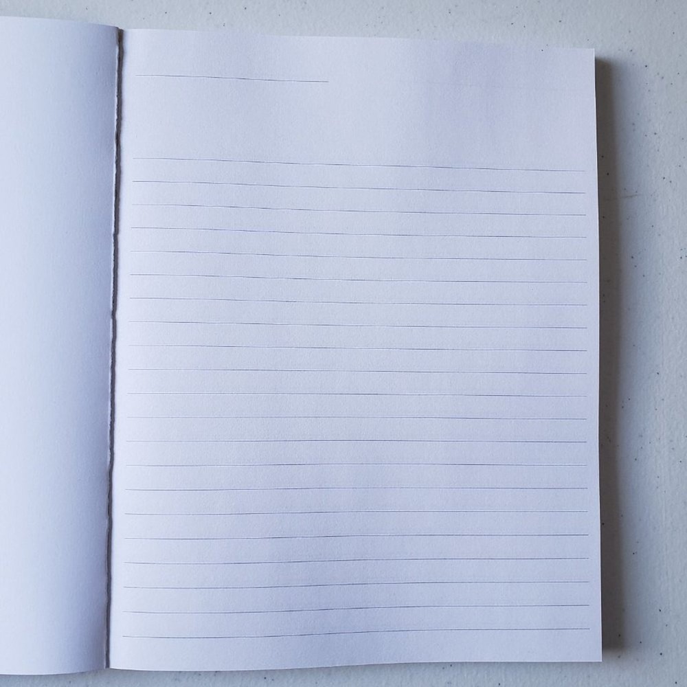 A Boxer Lover’s Journal: Bruiser Blank Lined Notebook