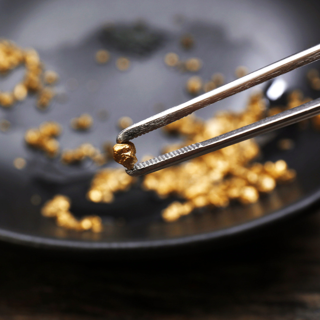 Presidential 10 Gram Gold Nugget Hunt Rich Unsearched Paydirt With Added Gold