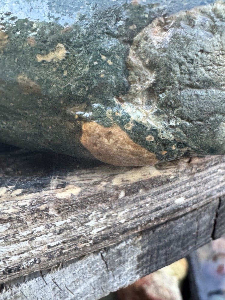 Jasper~ Quartz ~ Minerals ~ Rocks For Sale Solid 3.6 Lbs