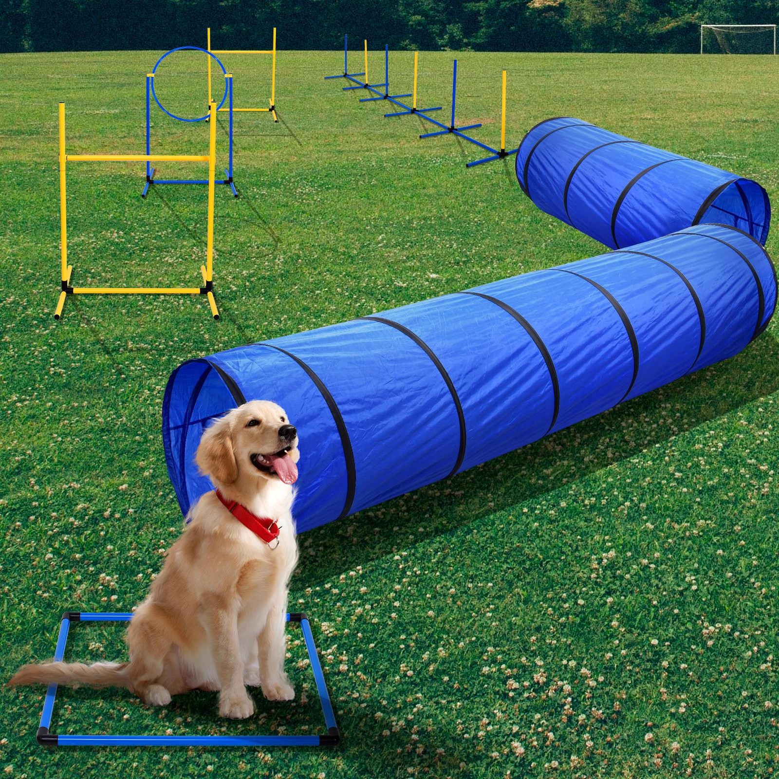 Outdoor 5 PCs Dog Pet Agility Training Equipment Backyard Starter Course Set