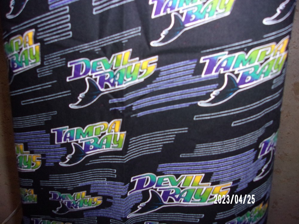 BARBEQUE APRON TAMPA BAY RAYS