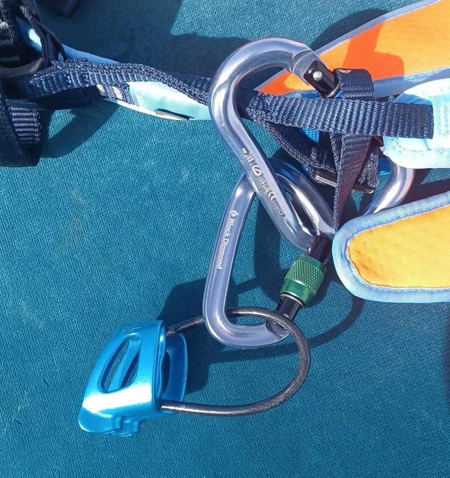 Mammut Climbing Harness