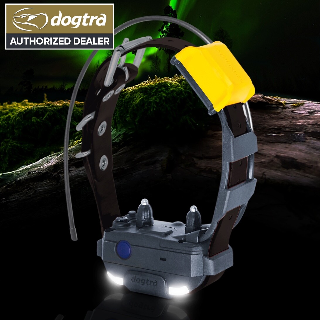 Dogtra PATHFINDER2 Mini Dog Collar Receiver Tracking and Training E-Fence GPS