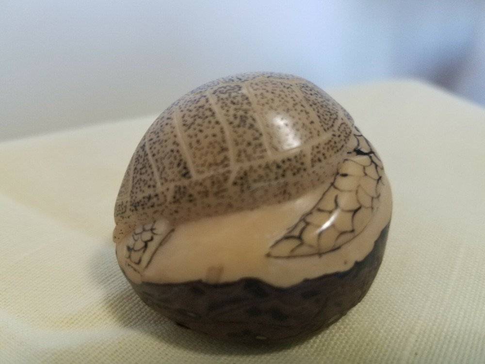 Sea Turtle Tagua Nut Carving ~ Signed ~ Panama