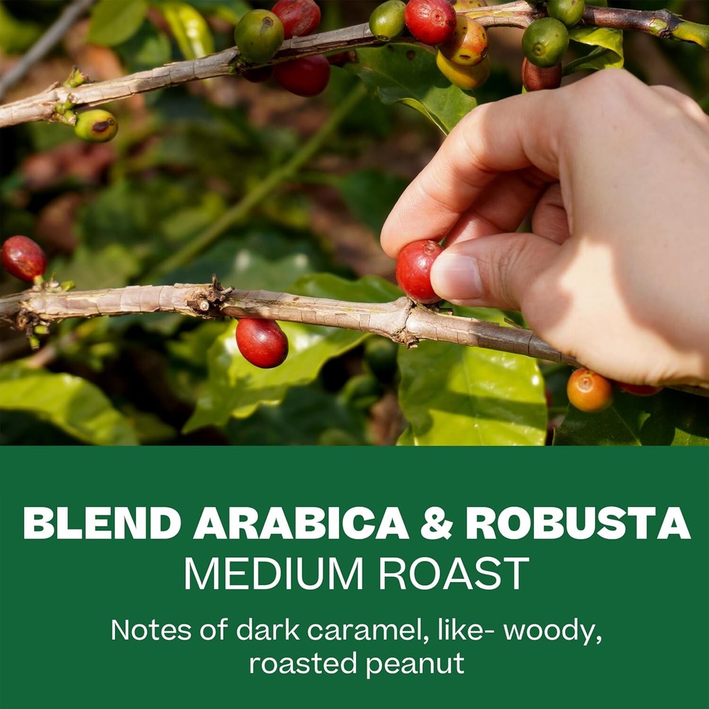 Vietnamese Premium Blend Whole Bean Coffee - Arabica & Robusta Blend, Medium ...