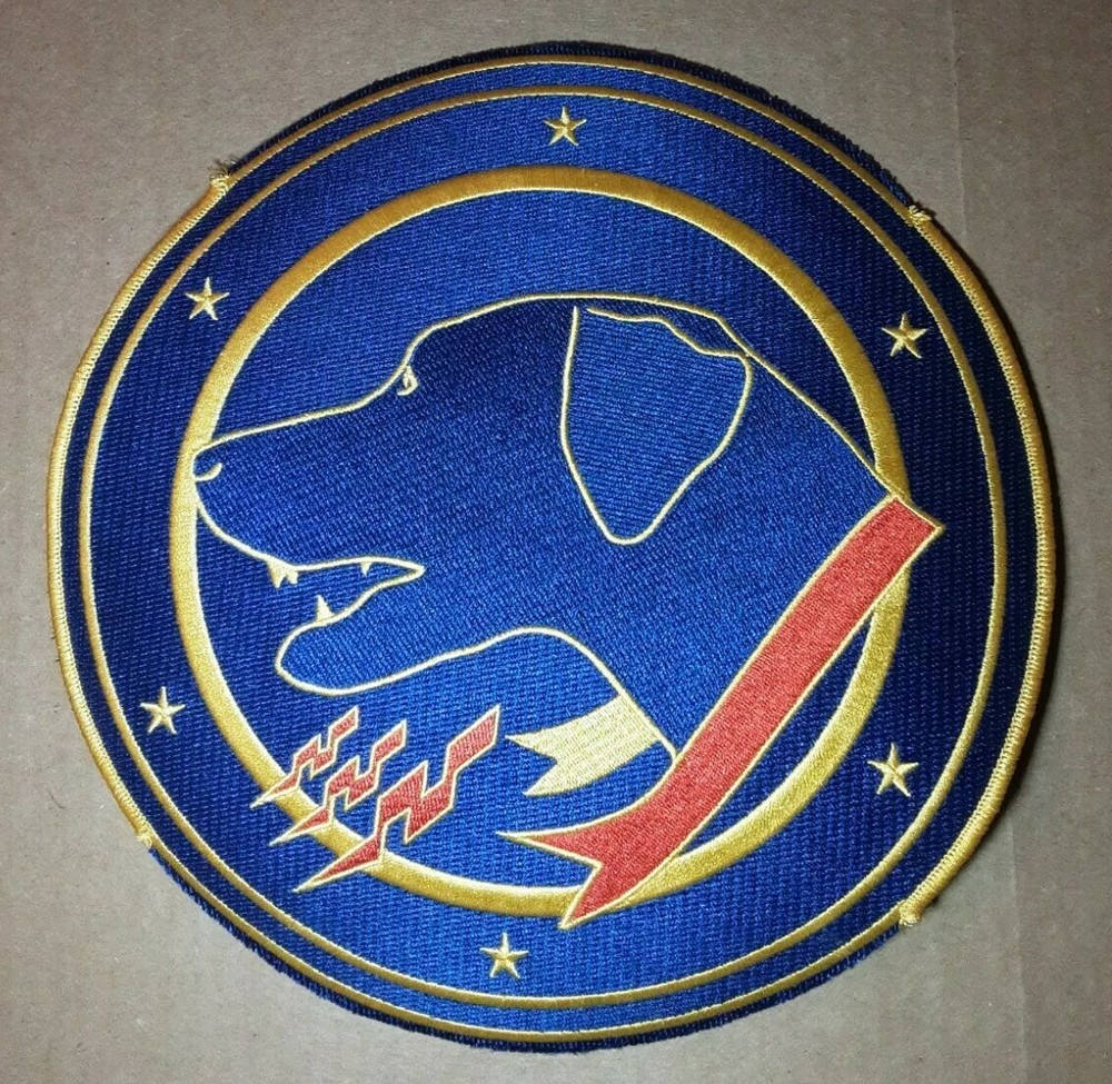 Tactical Fighter Squadron Wardog 9" Patch Without Add Ons READ