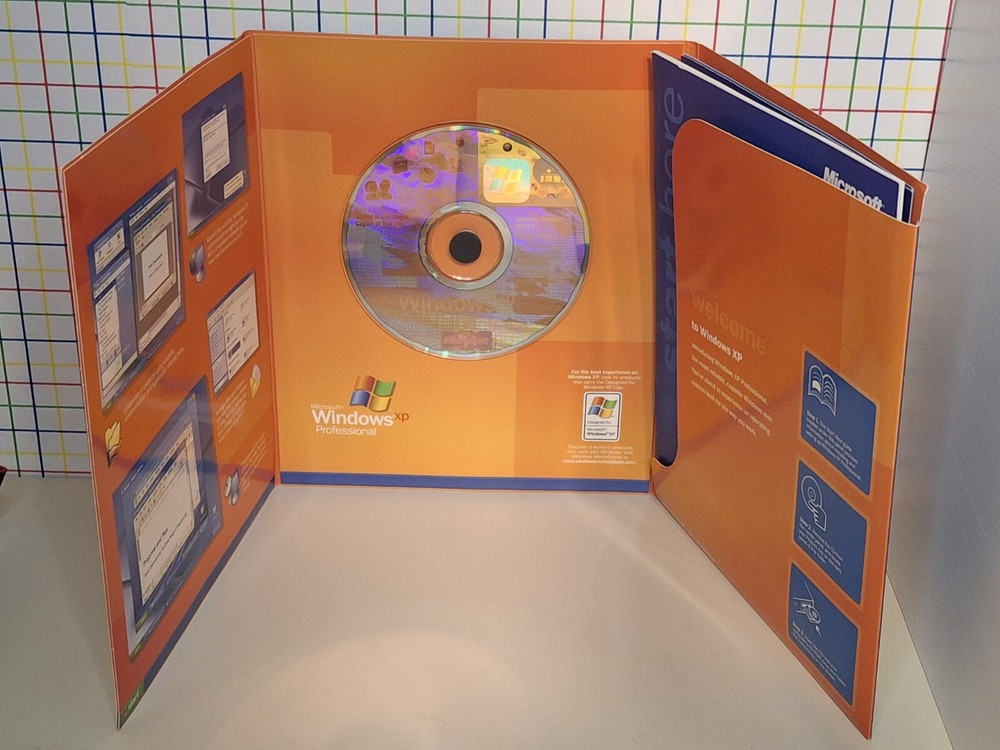 Windows XP Professional Includes Bonus Pocket Sized Windows XP For Dummies Book