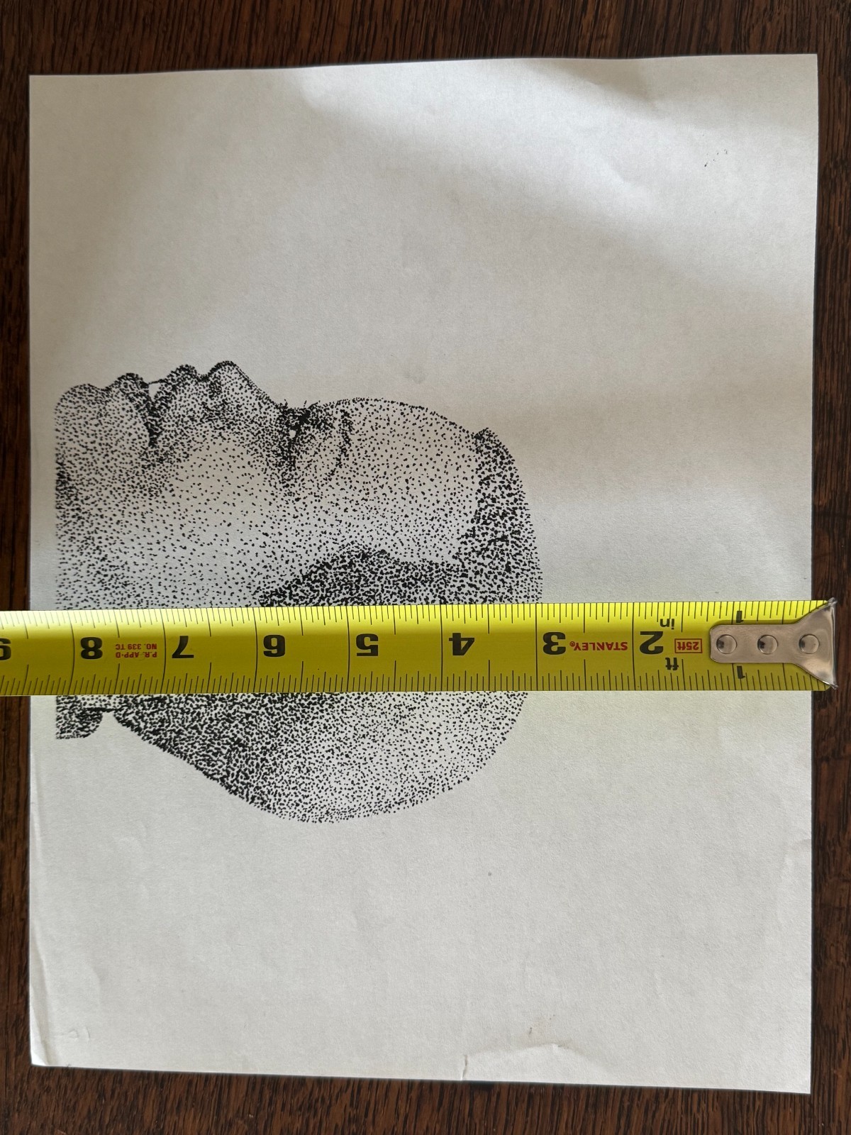 Original Pointillism Young African-American Woman Pen Portrait Drawing 8.5"x11"