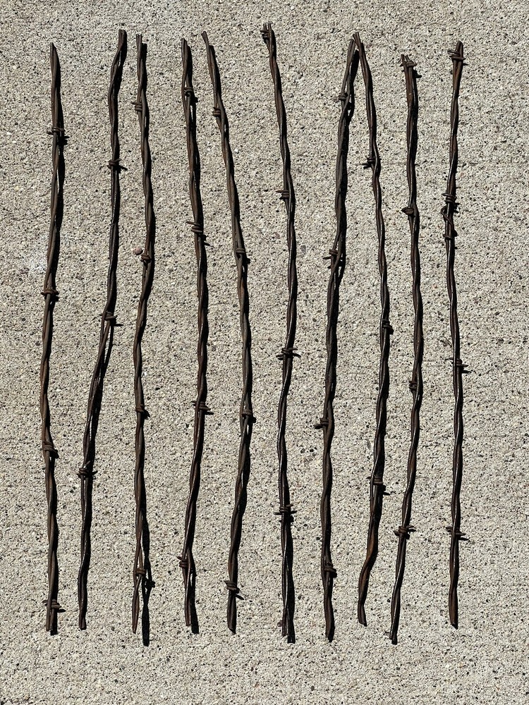 Rusty Barb Wire 18 Inch strands. Sharp old rustic look. Crafting Decor. 10 Count