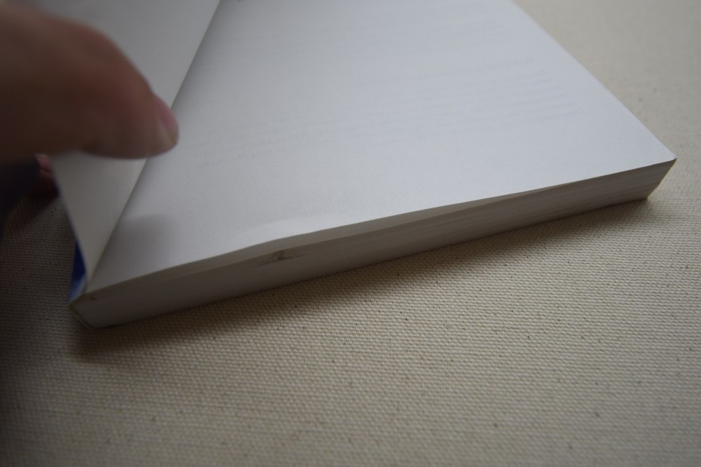 Mandrake Linux 9.0 Installation and User Guide