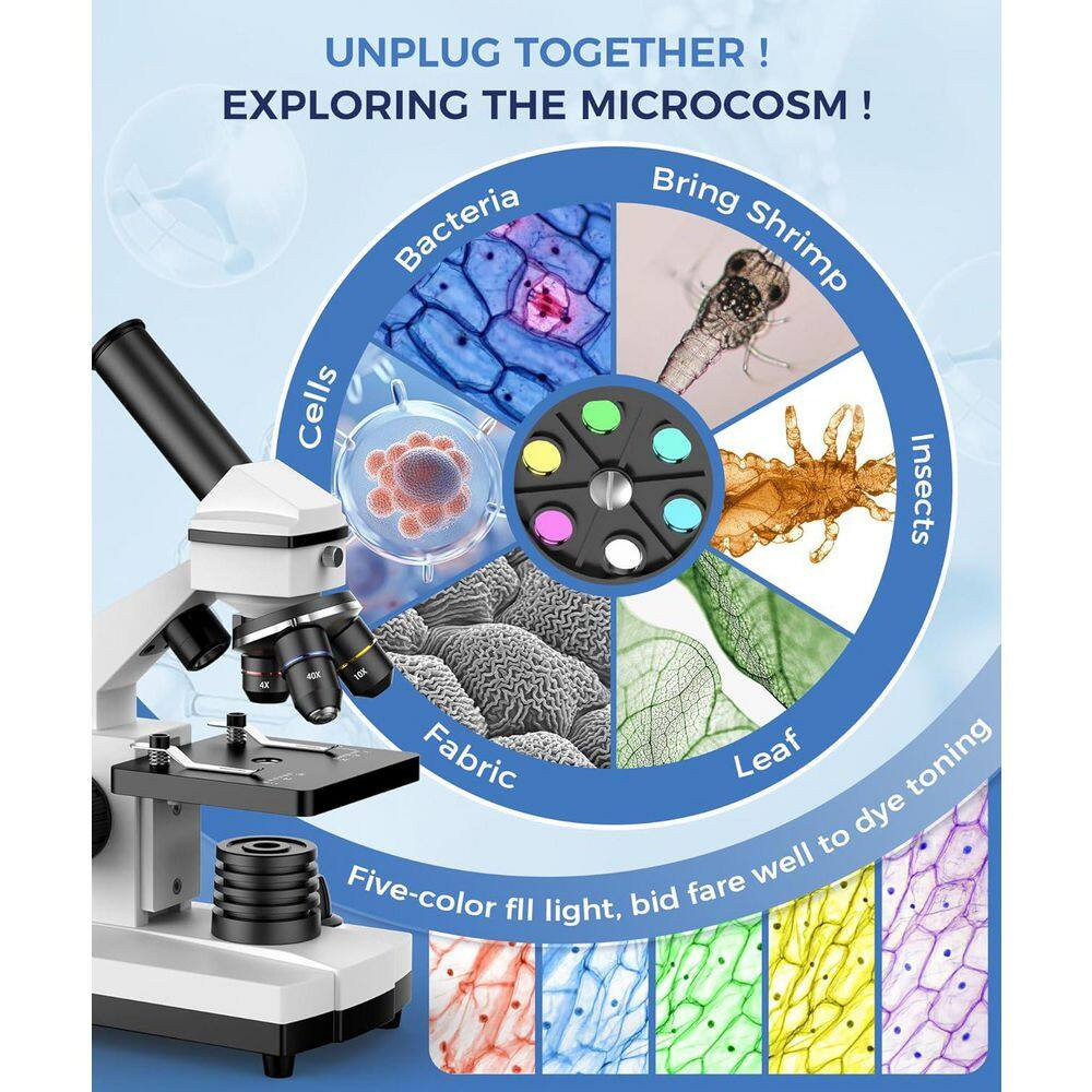 Compound Microscope 100X-2000X High-Power Biological Microscope for Students wit