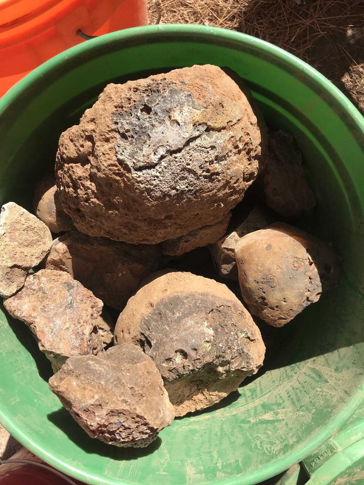 Colorful Agates From o6 Kokernot West Texas Ranch: Agate Rough Lapidary Rock