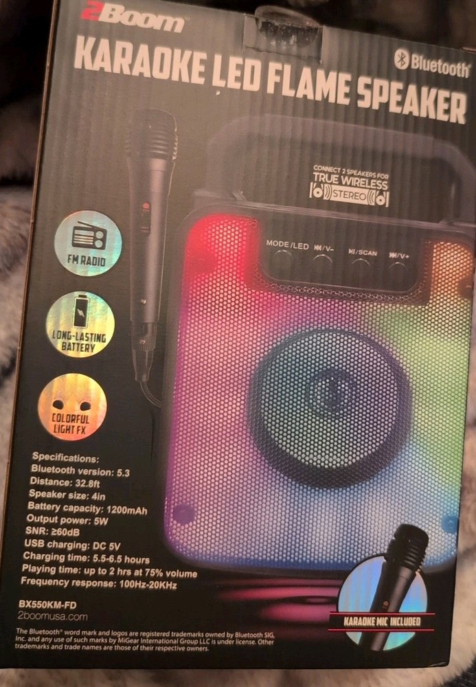 2Boom Karaoke LED Flame Speaker