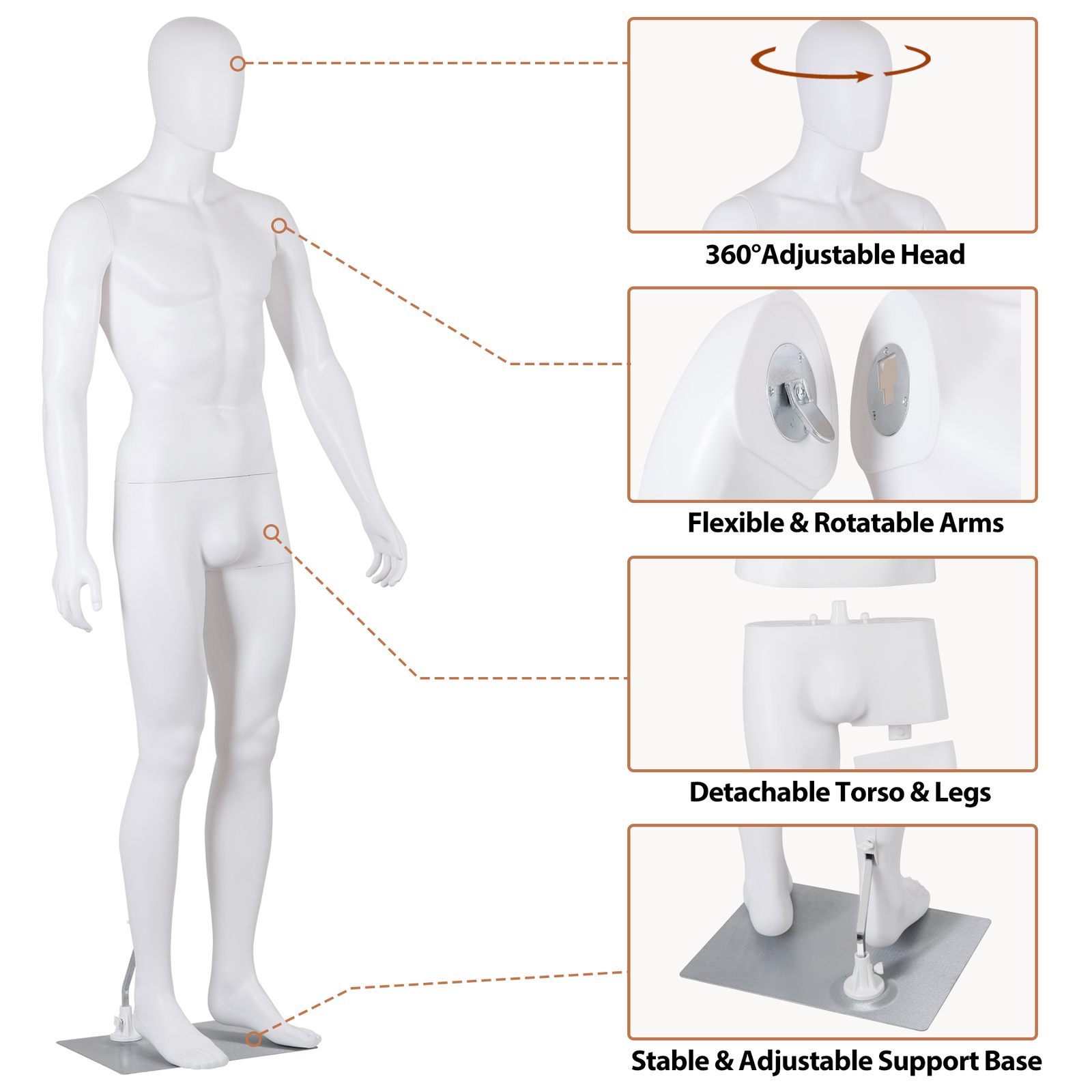 Male Mannequin Full Body Dress Form Adjustable 73Inch Realistic Detachable White