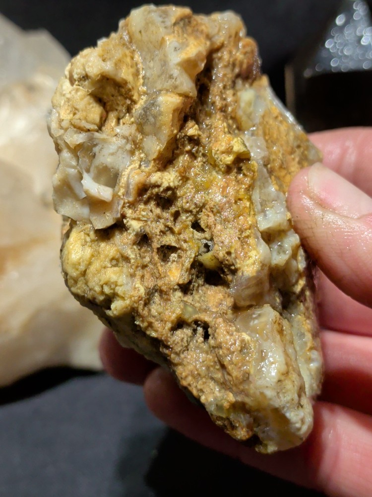 Petrified Wood Specimen Natural Form (7oz)