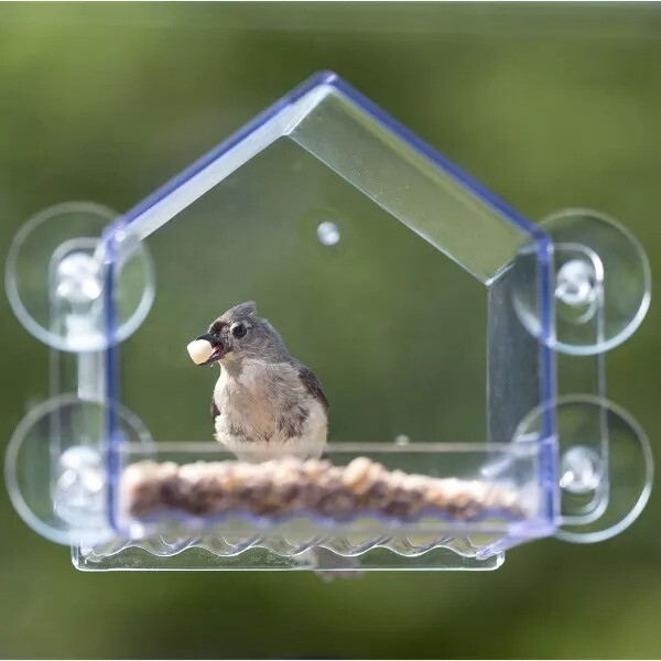 2 Cup Clear View Plastic Window Bird Feeder 6.75": Suction Cup Mount