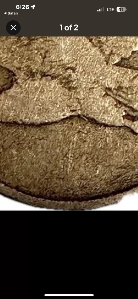 1856-58 “Judd-179 Error” Flying Eagle Cent-“NO DATE” Obv. Or Reverse“ONE CENT.”