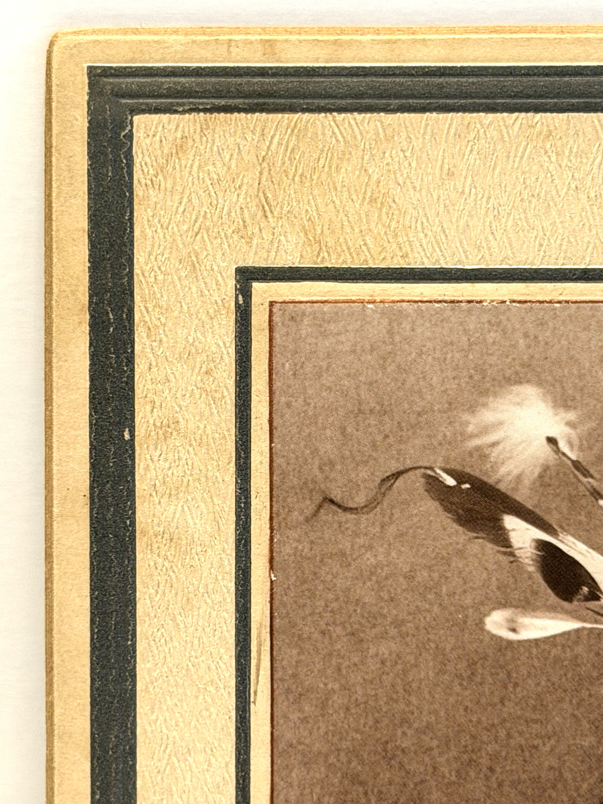 Vintage Native American Indian Portrait of Jack Red Cloud Chief of Oglala Sioux