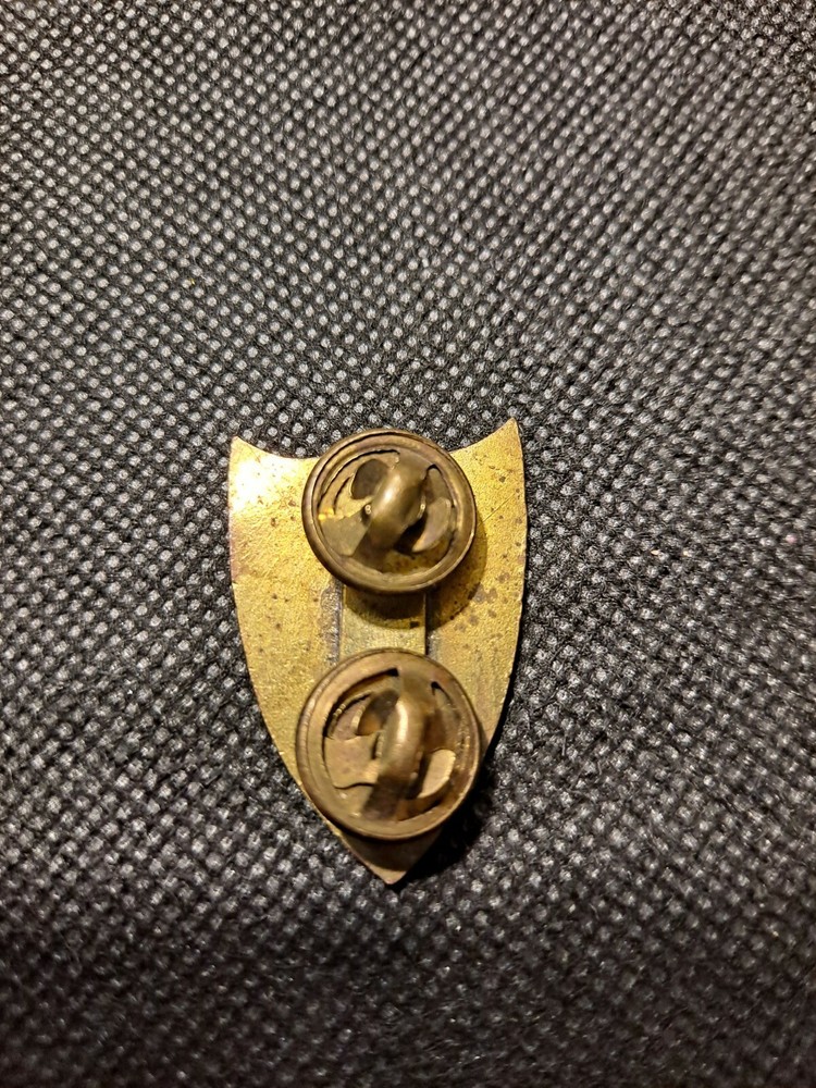 MILITARY SHIELD PIN! e4207DXX