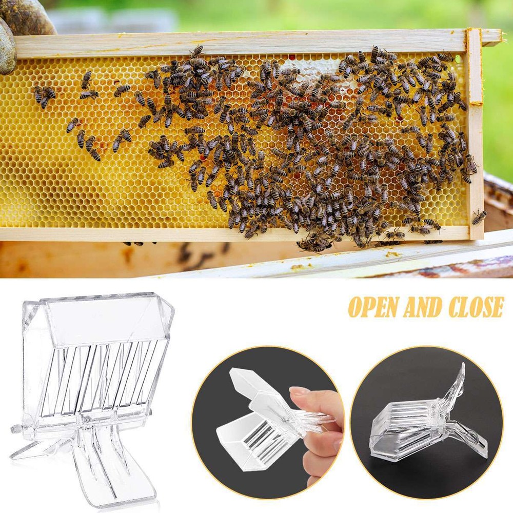 5PCS Beekeeping Queen Bee Cage Catcher Clips Plastic Transparent Set