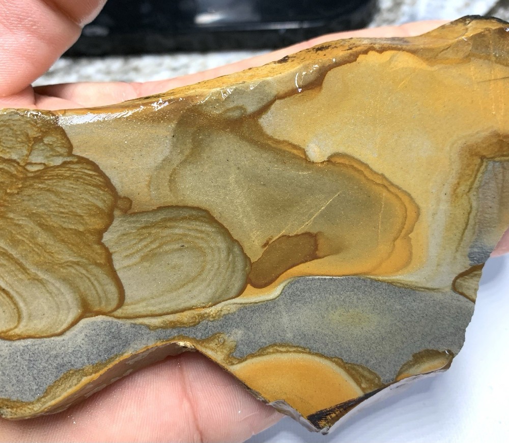 Disaster Peak Picture Jasper Slab
