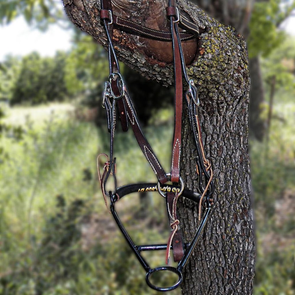 Rick Wheat Noavel Headstall Training Bitless Bosal Hackamore with Split Reins