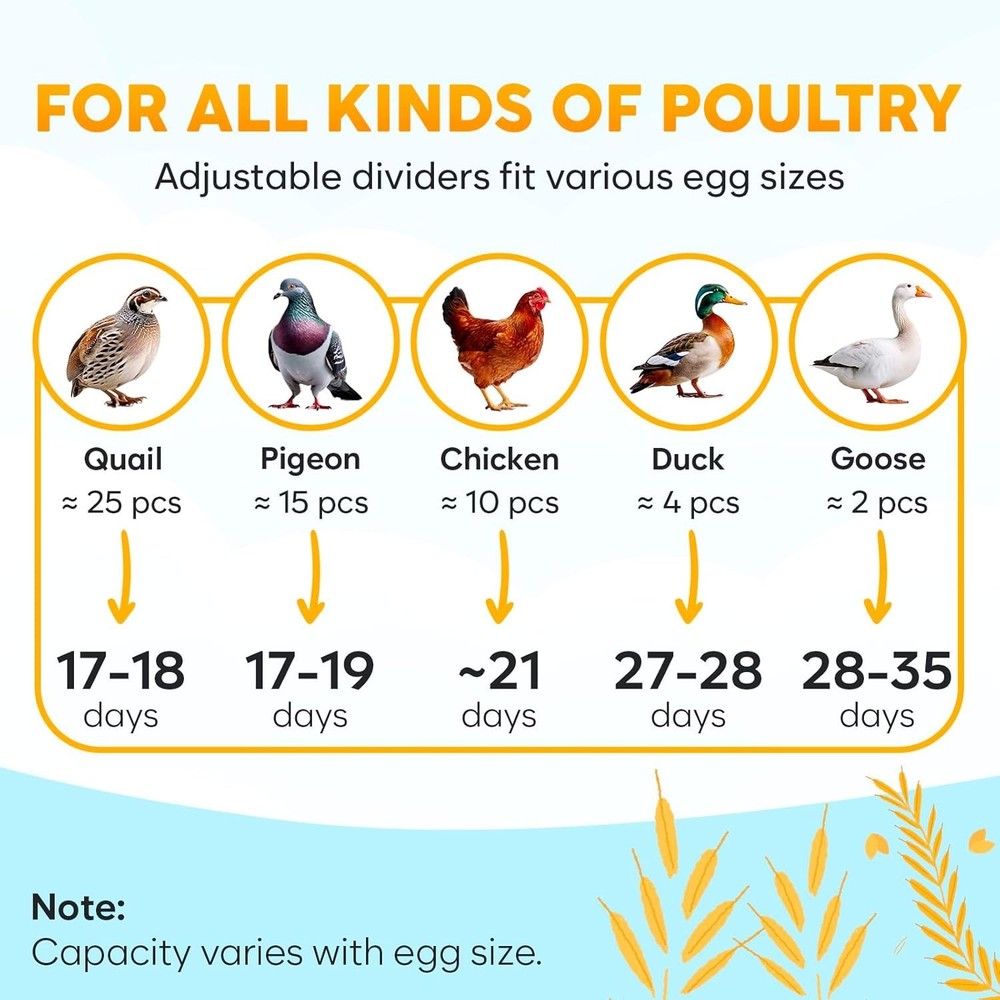 Incubators for Hatching Eggs 12 Egg Automatic Turner with Temperature Humidity