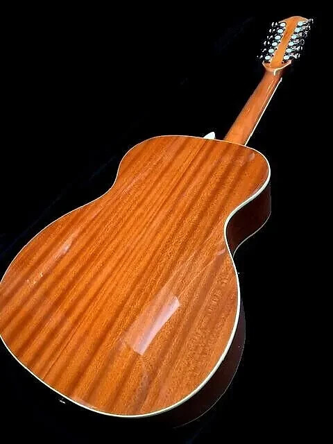 GREAT PLAYING NEW 12 STRING ACOUSTIC DOBRO RESONATOR GUITAR