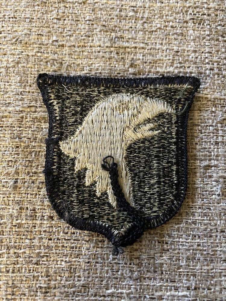 US Army 101st Infantry Division Subdued Patch INV4226