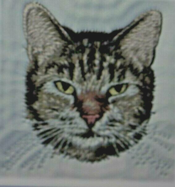 Tabby Cat Breed 2 Embroidered Hand Towels Personalized