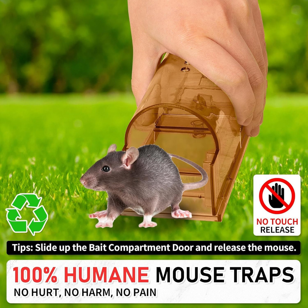 Humane Mouse Traps 6 Pack, Live Mouse Traps, Catch Release Mouse Traps Indoor fo