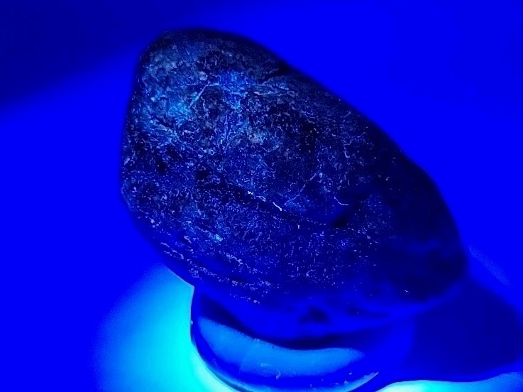 Real Permineralized Bird Egg Fossil