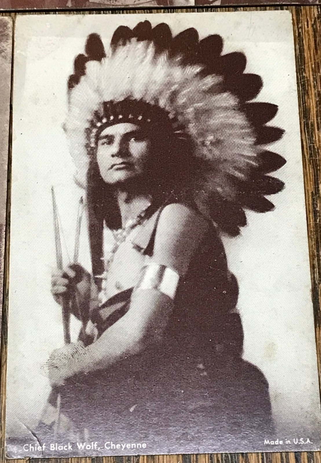 Antique Lot Of 10 Native American Indian Arcade Cards Exhibit Cheyenne Blackfoot
