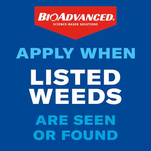 BIOADVANCED 1.3 Gal. Ready to Use Extended Control Brush Killer