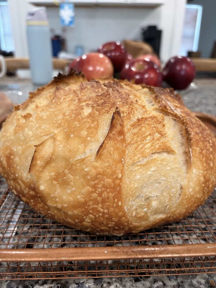 Dried Sourdough Starter with Instructions
