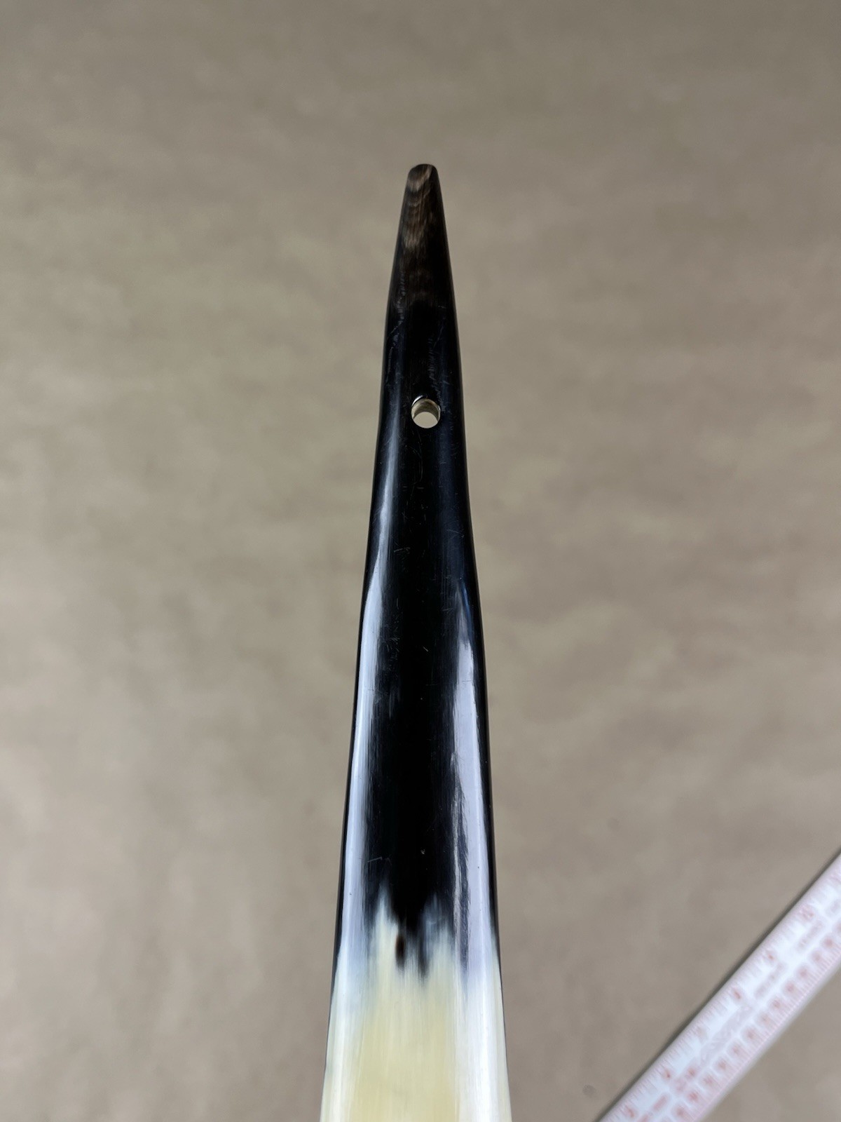 Vintage Genuine Horn 10” Shoehorn Natural Ox Cow Bovine Made In England