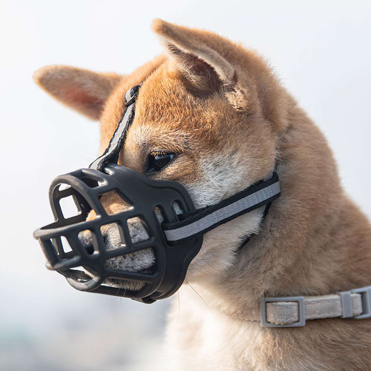 Large Pet Dog Basket Muzzle Mouth Cover Mesh Cage No Barking Biting Chewing