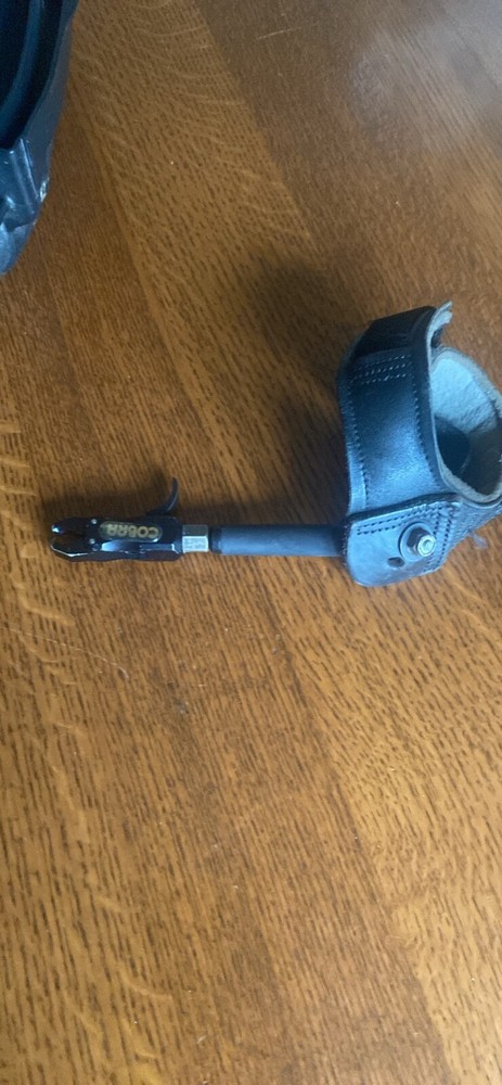 Bear Apprentice 2 Compound Bow