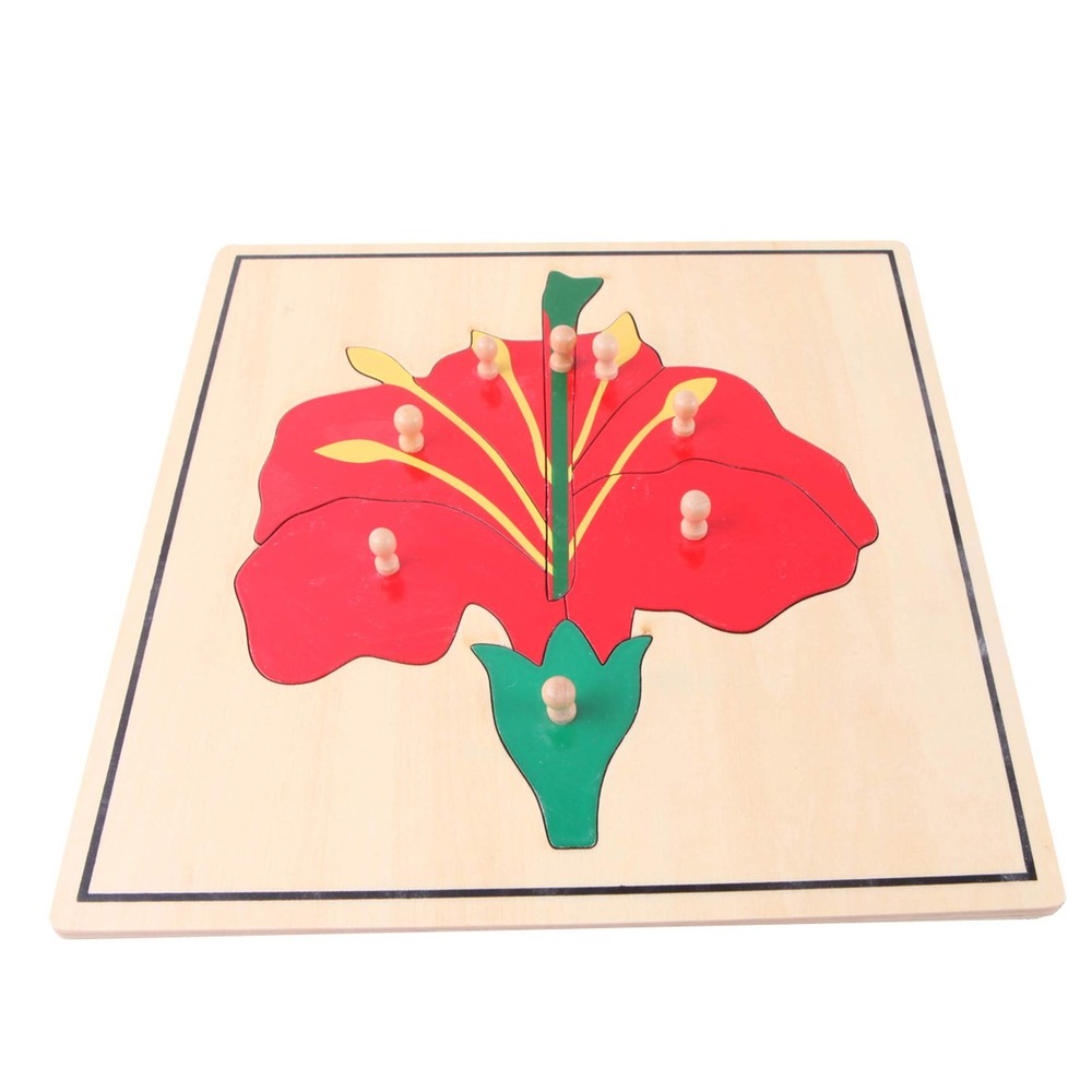 Materials Botany Puzzle Cabinet (3 Puzzles Included)