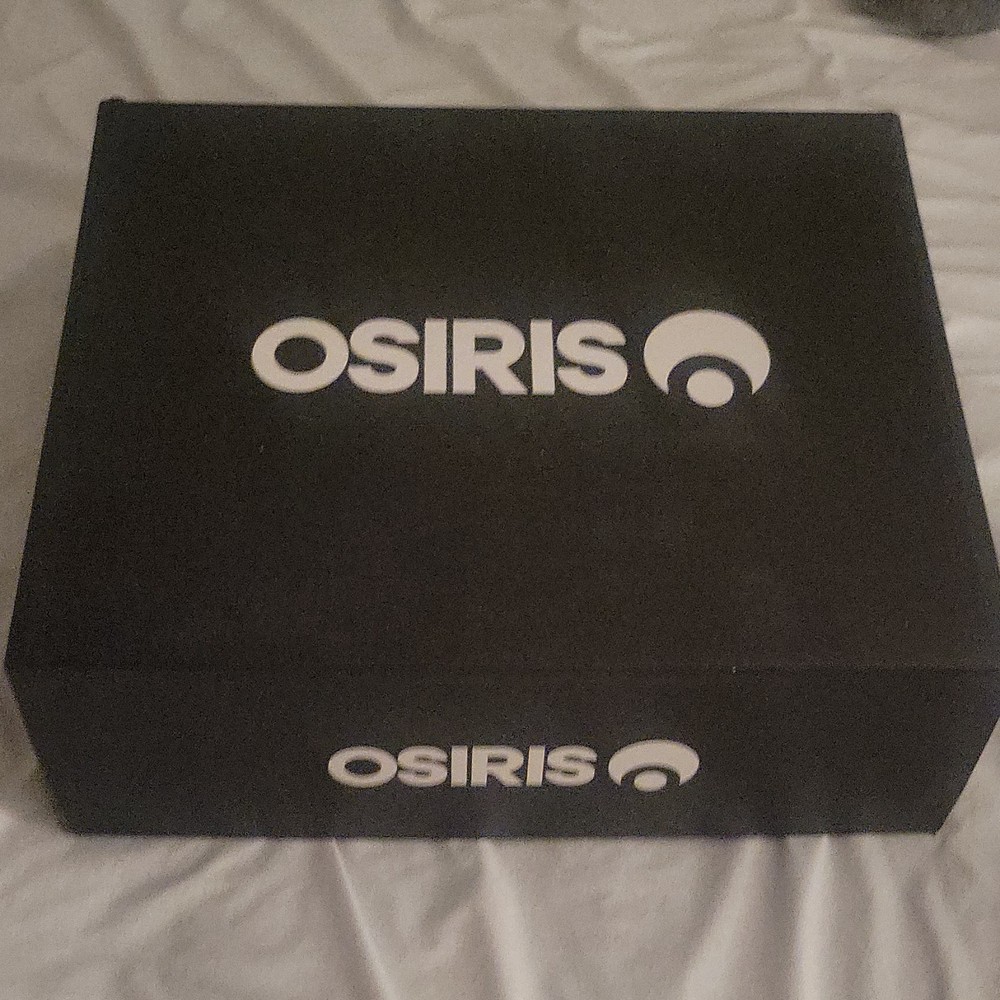 Osiris D3 E Skateboarding Shoes Black Medium Width US Size 10